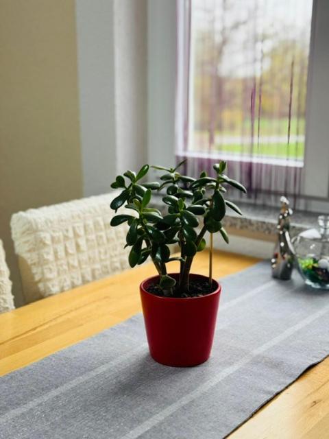 Apartments Paradise Licko Petrovo Selo 외부 사진