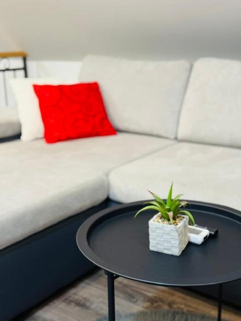 Apartments Paradise Licko Petrovo Selo 외부 사진