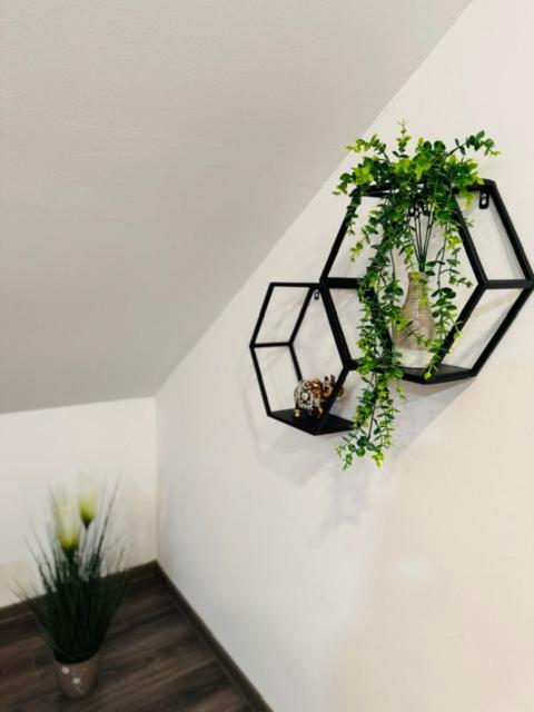 Apartments Paradise Licko Petrovo Selo 외부 사진
